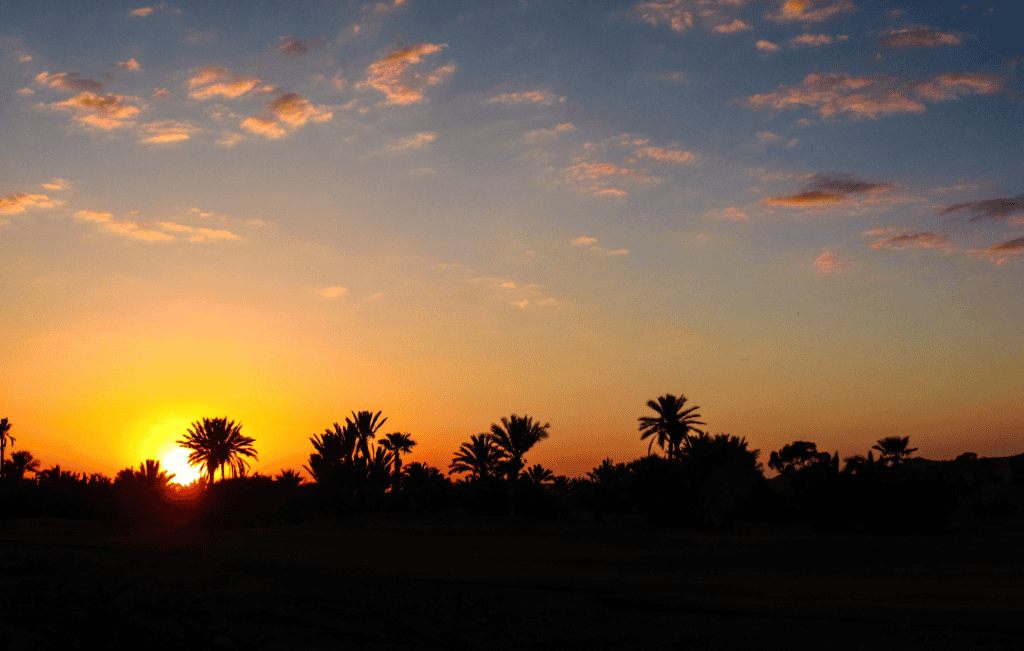 Coucher de soleil sur la palmeraie de Marrakech
