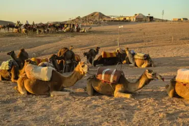 Organisation d'événements corporate à Marrakech : Guide Complet 2026