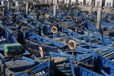 Séminaire d’entreprise à Essaouira vs Marrakech : comparatif 2026