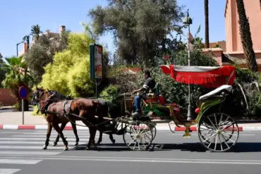 Location de calèches pour un mariage à Marrakech : guide 2026