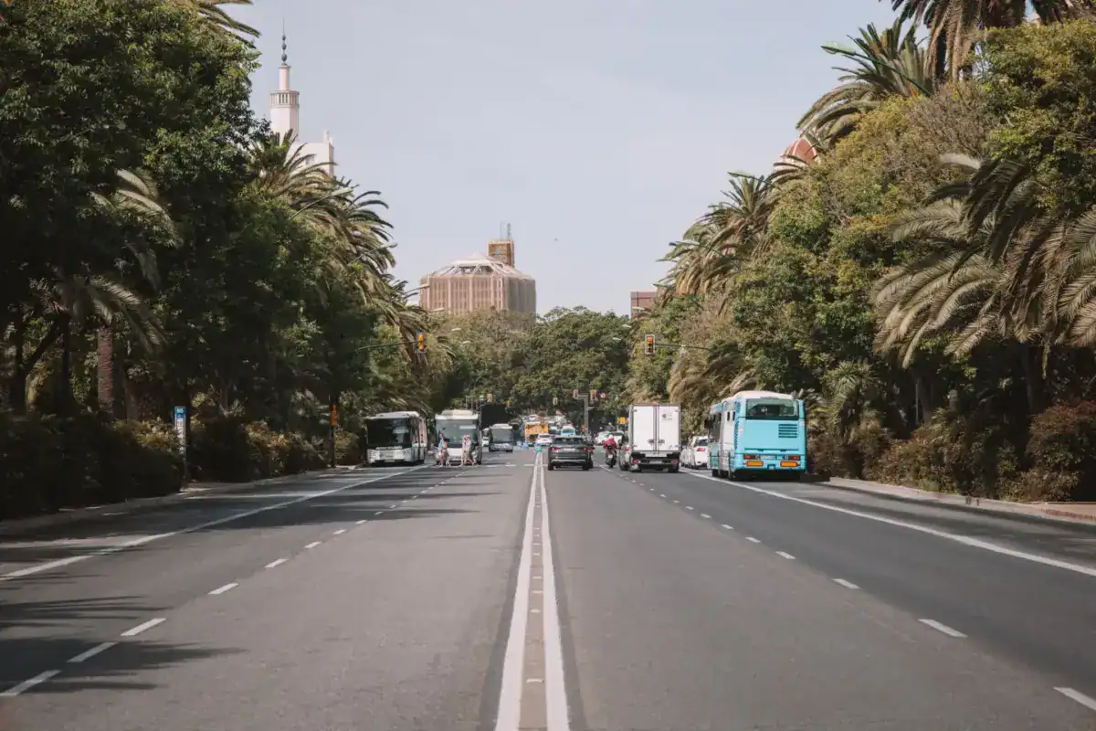 Avenue bordée de palmiers, autocars stationnés le long du trottoir