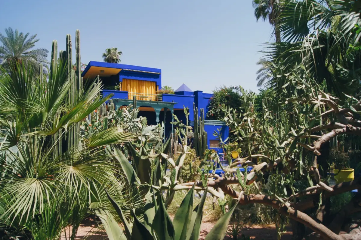 La villa bleue du jardin Majorelle à Marrakech, entre cactus et palmiers