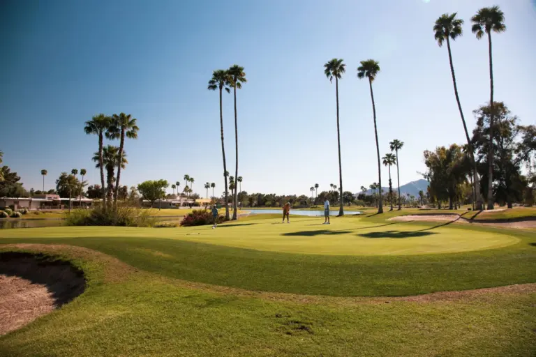 Parcours de golf bordé de palmiers sous un ciel bleu