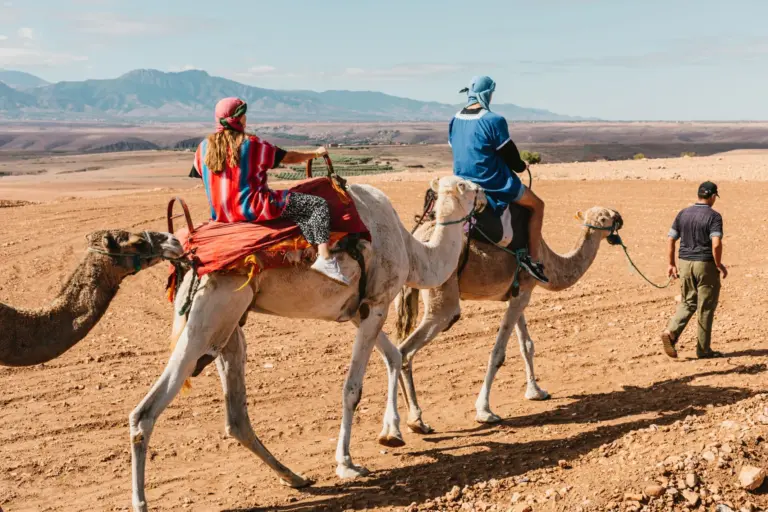 Day Trips from Marrakech for Corporate Groups