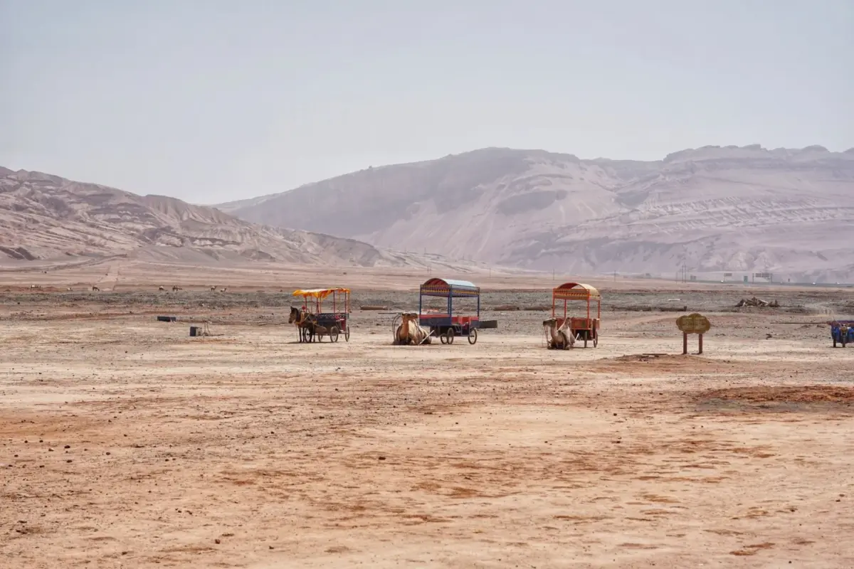 Désert de pierre aux portes de Marrakech, avec l'Atlas en arrière-plan