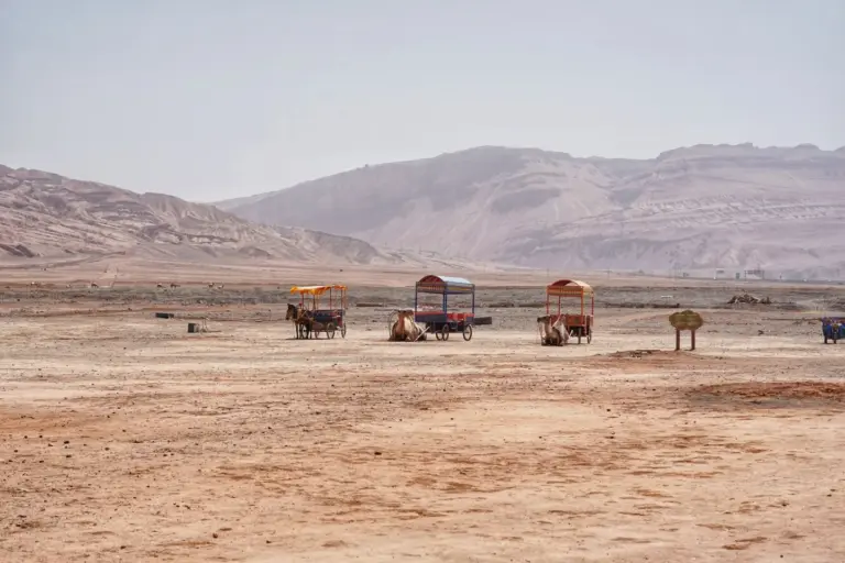 Corporate Event in the Agafay Desert: What Actually Works