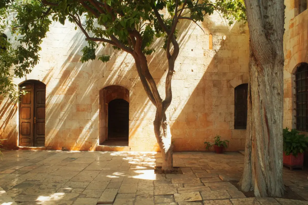Cour pavée à l'ombre des arbres, murs de pierre et portes en bois