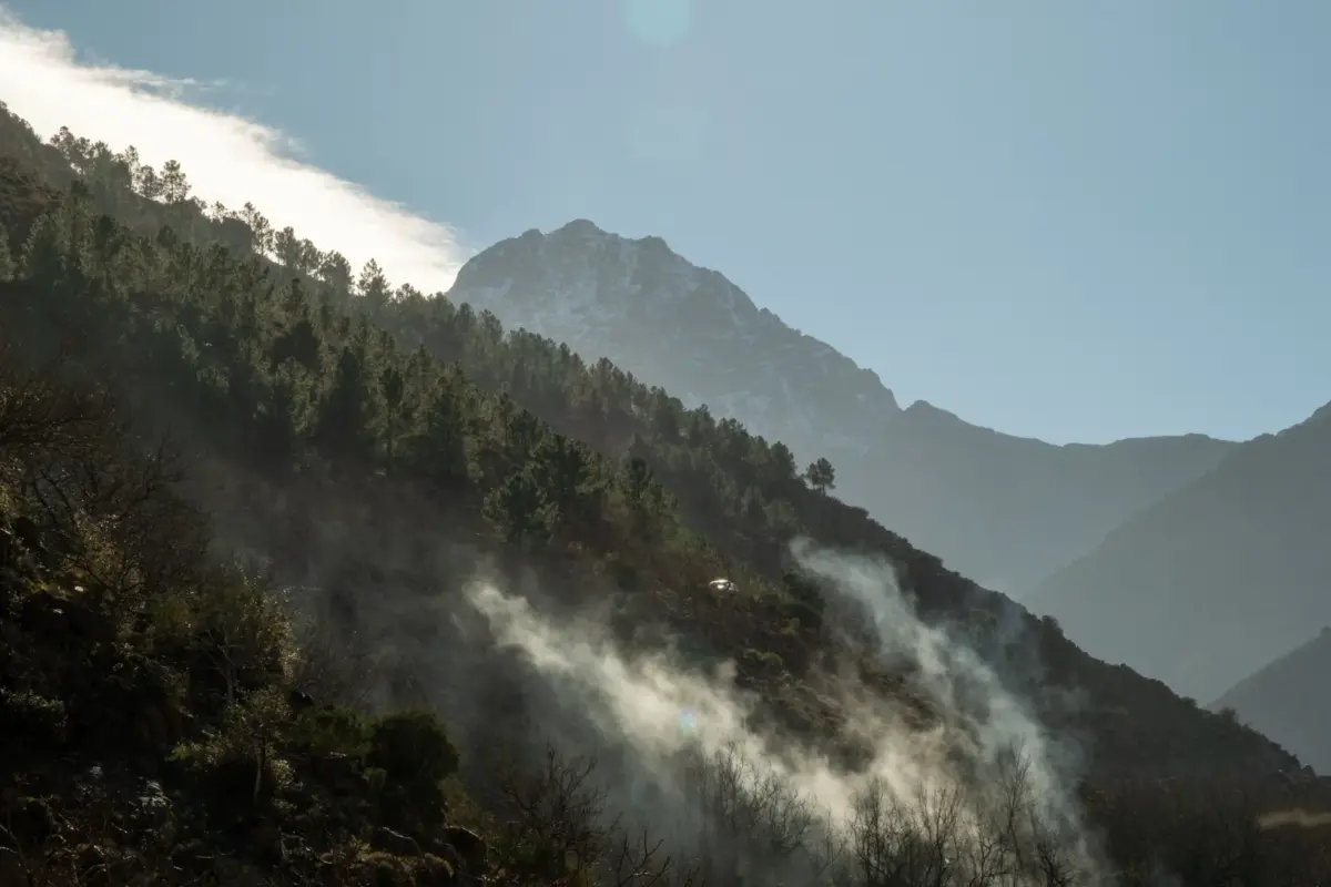Versant boisé du Haut Atlas près de Marrakech, sous un ciel clair