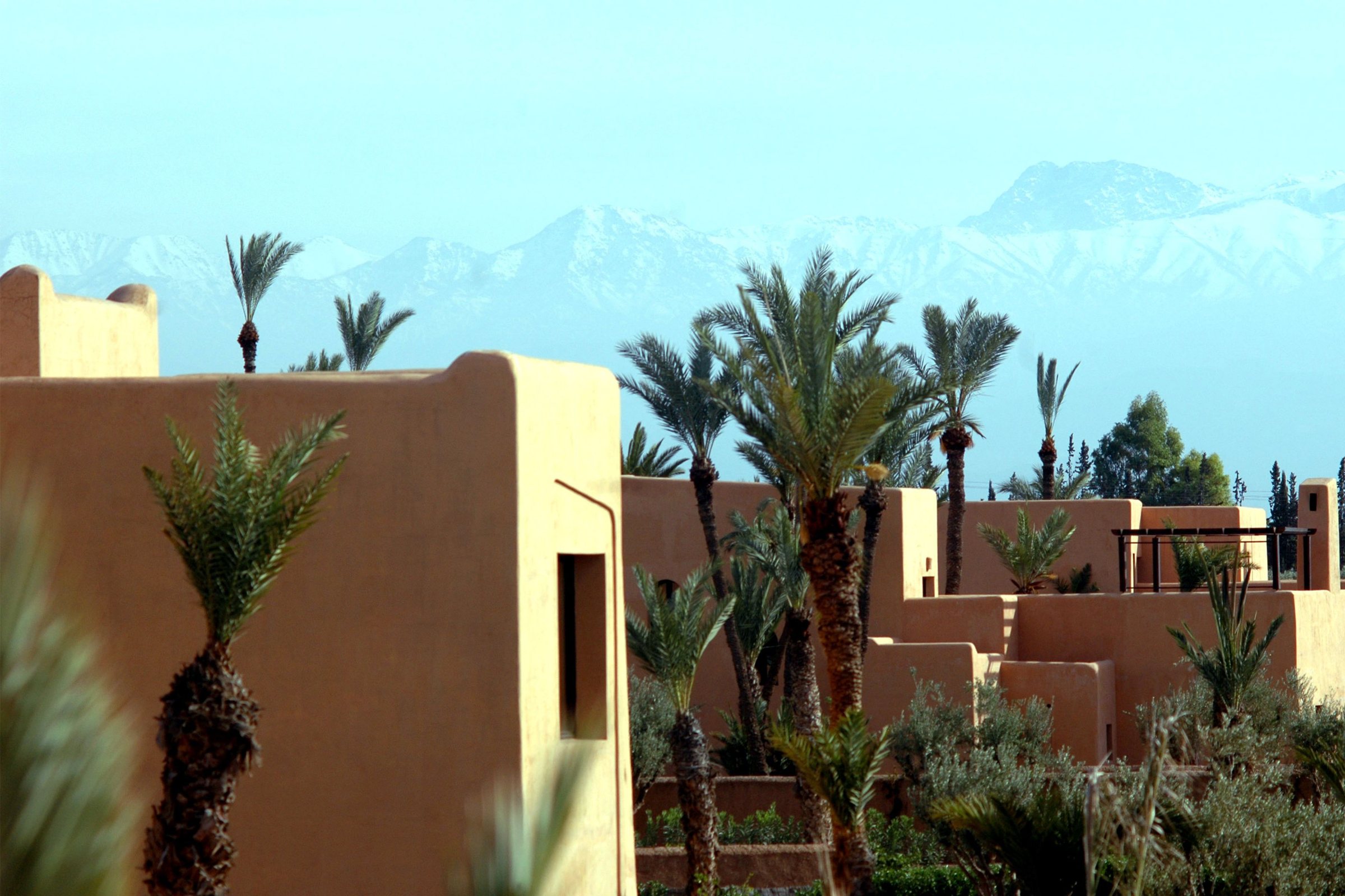 Bâtiments ocre et palmiers à Marrakech, Atlas enneigé au loin