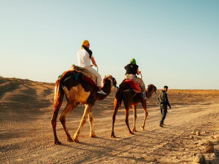 Balade à dos de dromadaire dans le désert marocain