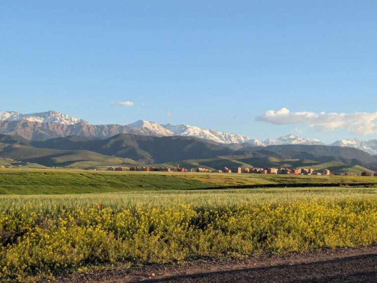 Sommets enneigés du Haut Atlas au-dessus des champs