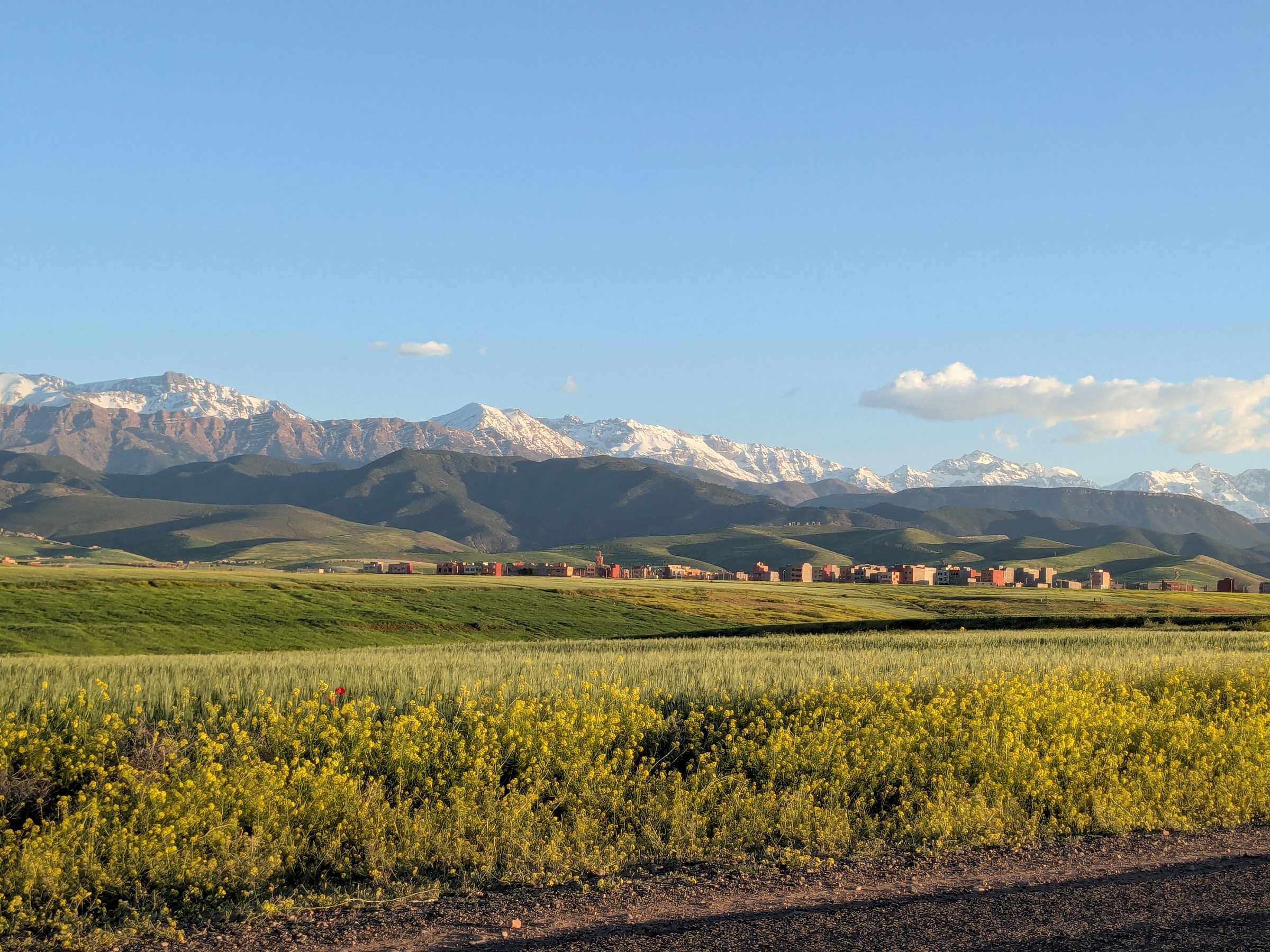 Sommets enneigés du Haut Atlas au-dessus des champs