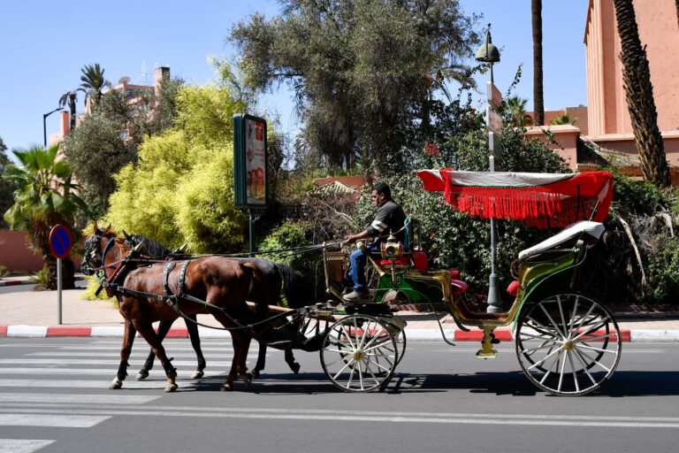 Calèche attelée dans une avenue de Marrakech