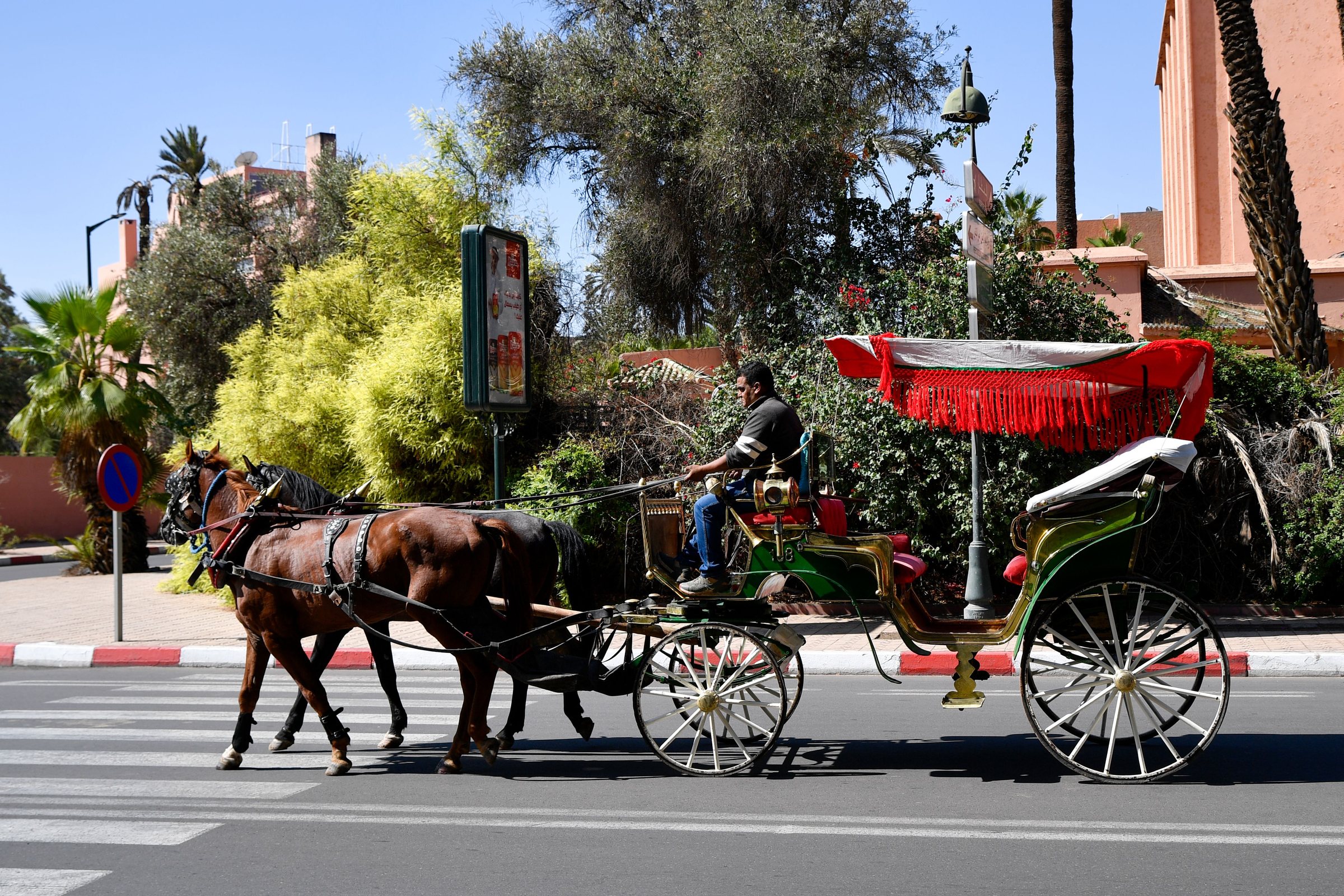 Calèche attelée dans une avenue de Marrakech
