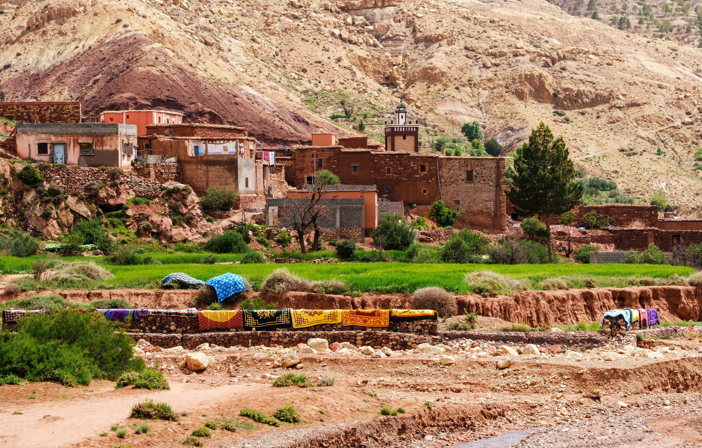 Village berbère en terre dans l'Atlas, champs verts et tapis séchant sur un muret
